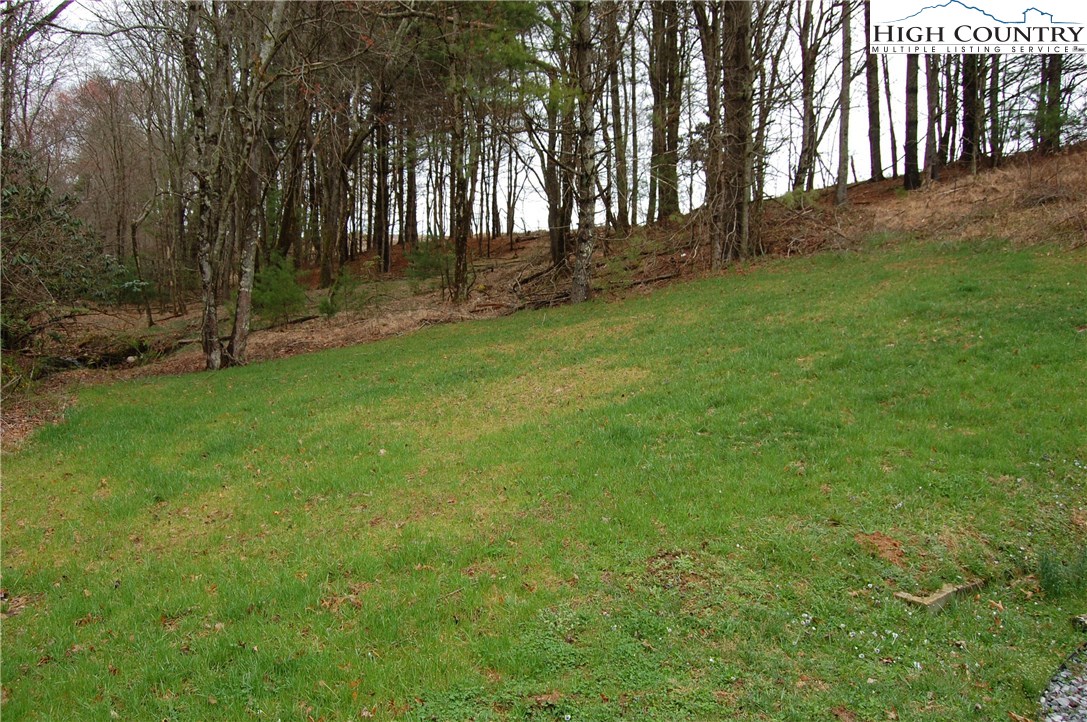 1698 Dewitt Road Sparta, NC 28675 - Photo 19 of 25 Gallery Image 19
