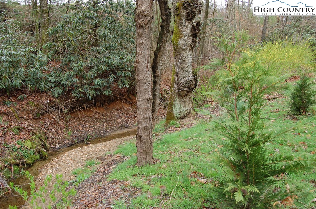 1698 Dewitt Road Sparta, NC 28675 - Photo 23 of 25 Gallery Image 23