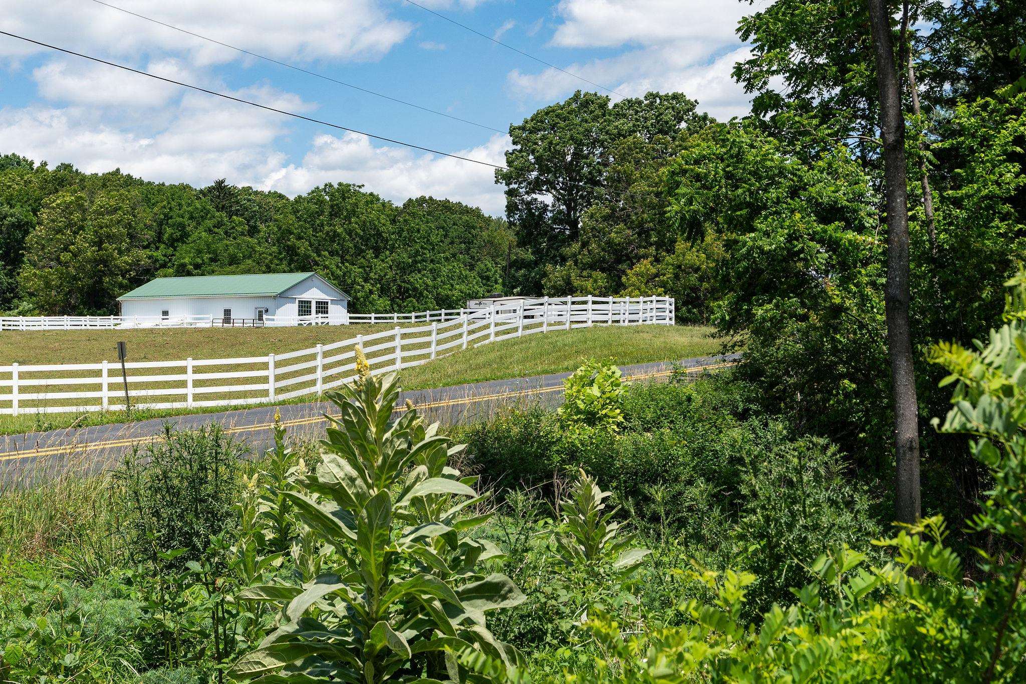 Mill Road Staunton, VA 24401 - Photo 7 of 29