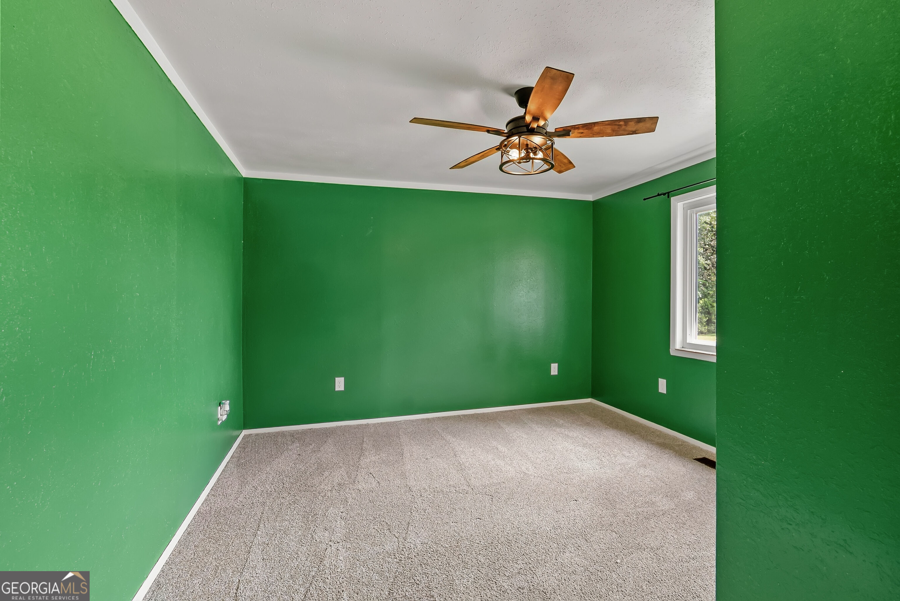 677 Palmer Road Pelham, GA 31779 - Photo 11 of 38 Gallery Image 11