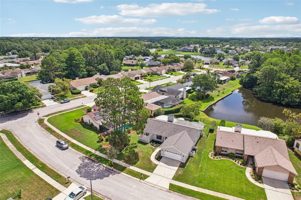9803 Middlecoff Drive New Port Richey, FL 34655 - Photo 38 of 42