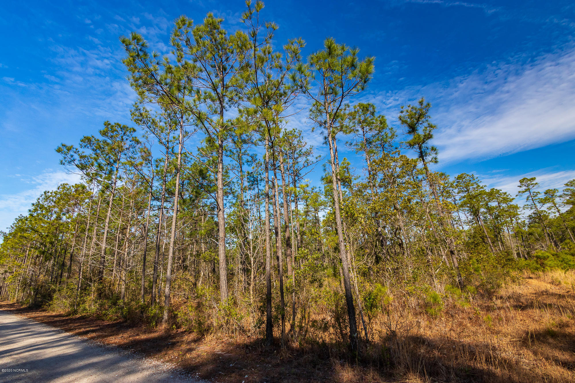413 Rams Horn Road Newport, NC 28570 - Photo 27 of 29 IMG_3347