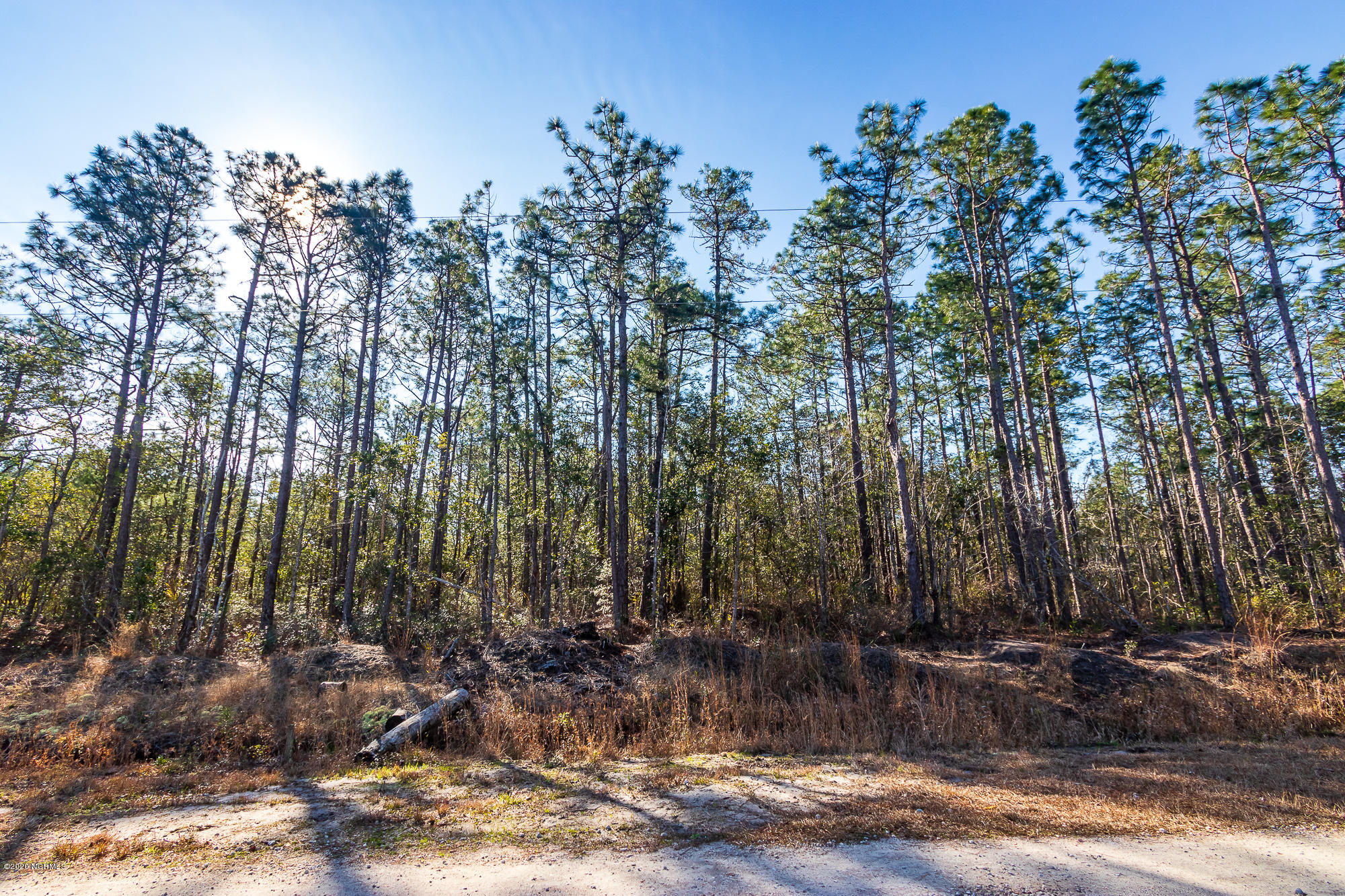413 Rams Horn Road Newport, NC 28570 - Photo 28 of 29 IMG_3357