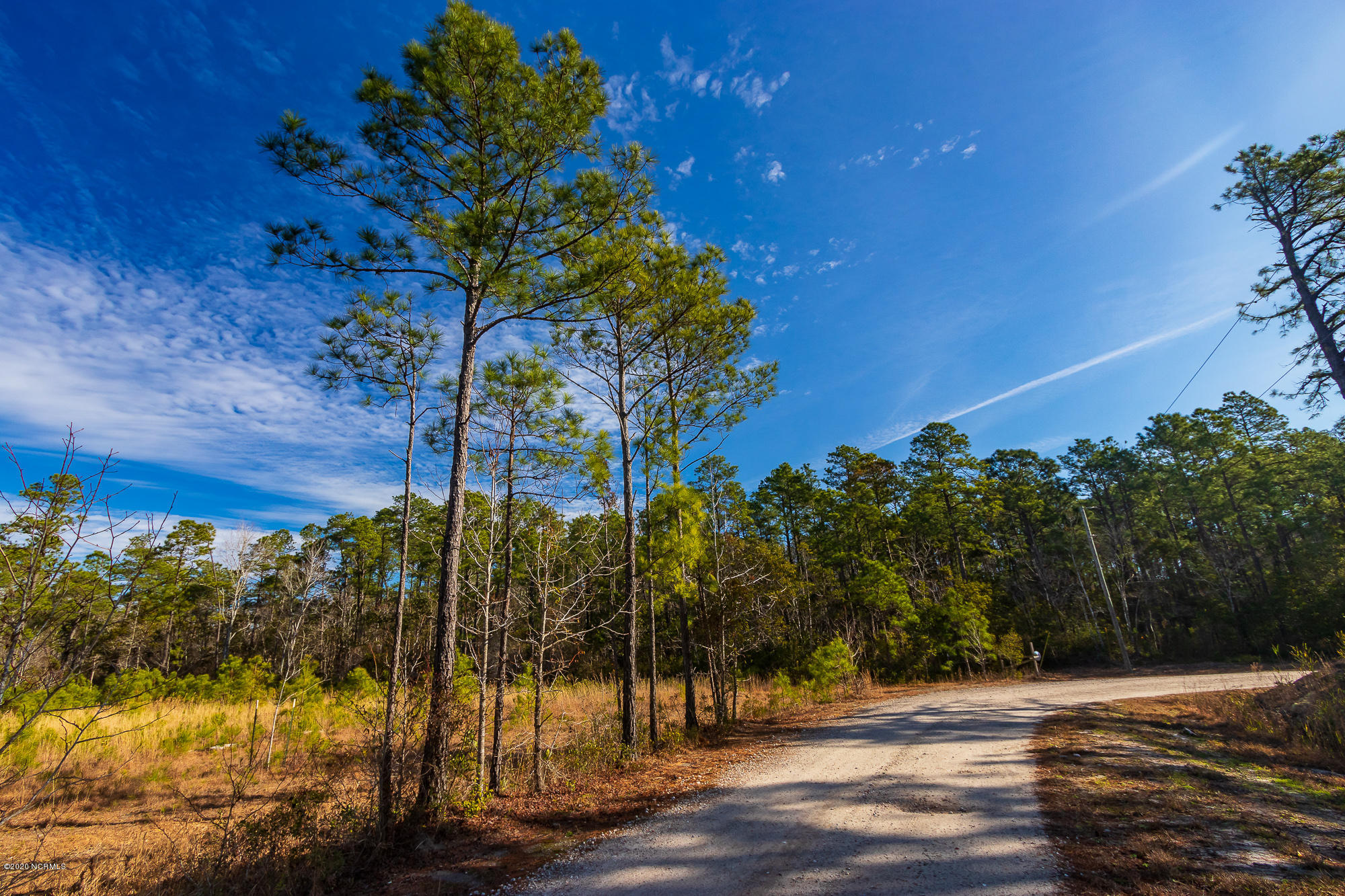 413 Rams Horn Road Newport, NC 28570 - Photo 6 of 29 IMG_3342