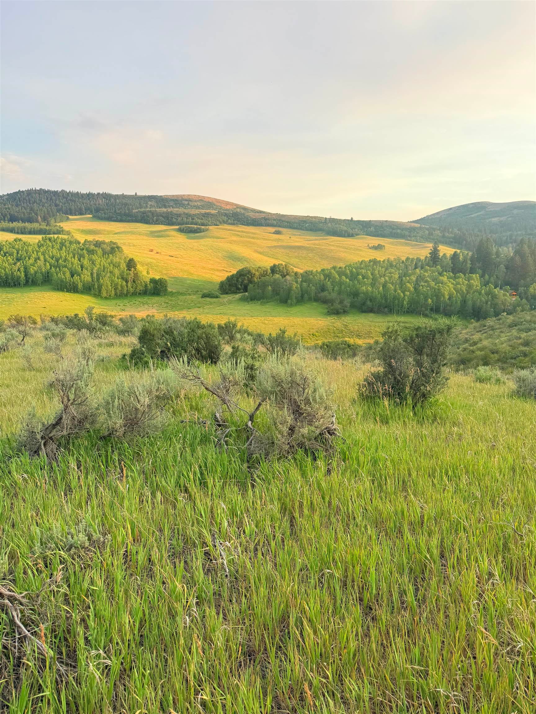 Tbd West Hoot Owl Road Inkom, ID 83245 - Photo 1 of 16 Gallery Image 1