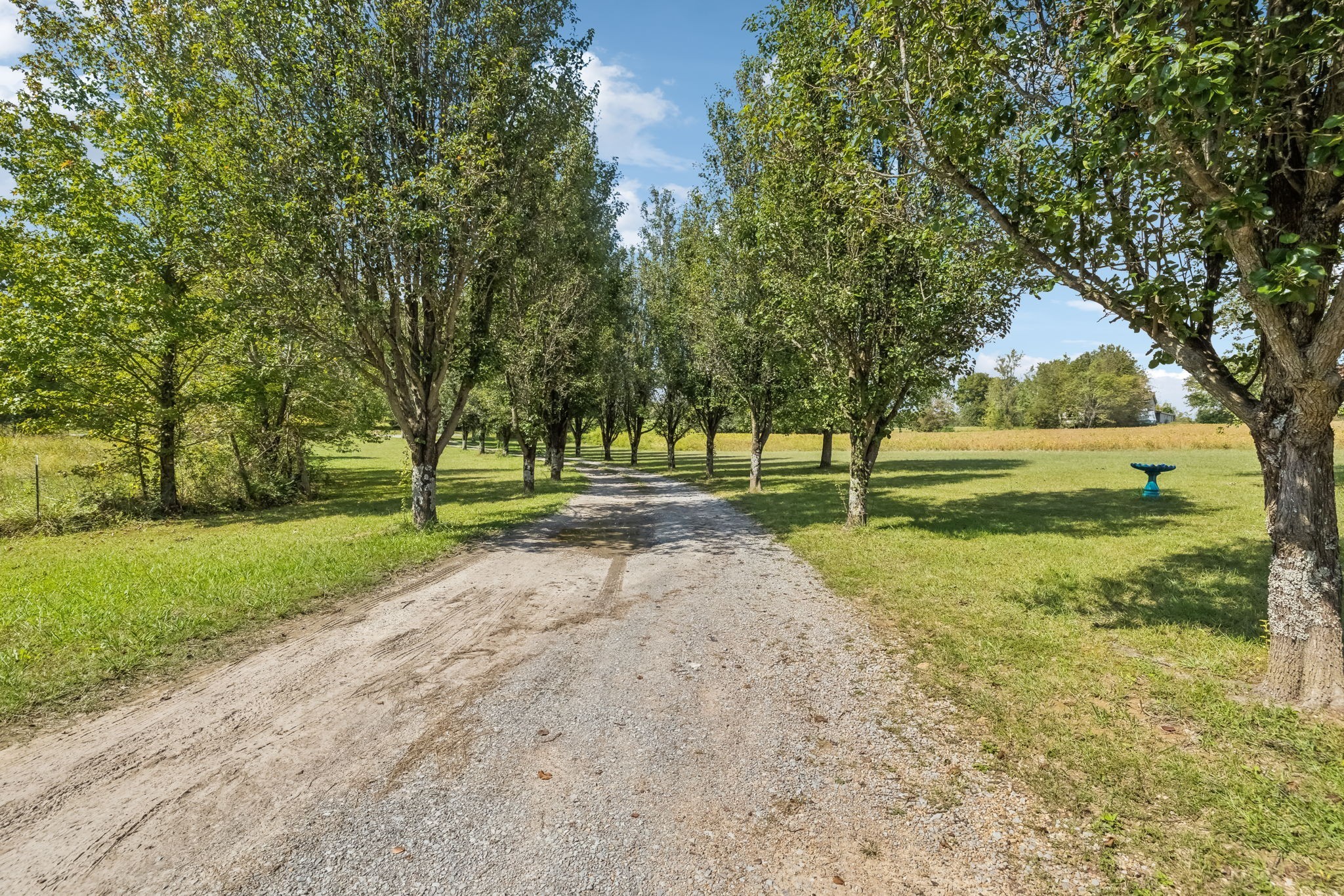 37 Lackey Road Kelso, TN 37348 - Photo 39 of 39 a view of a park with large trees