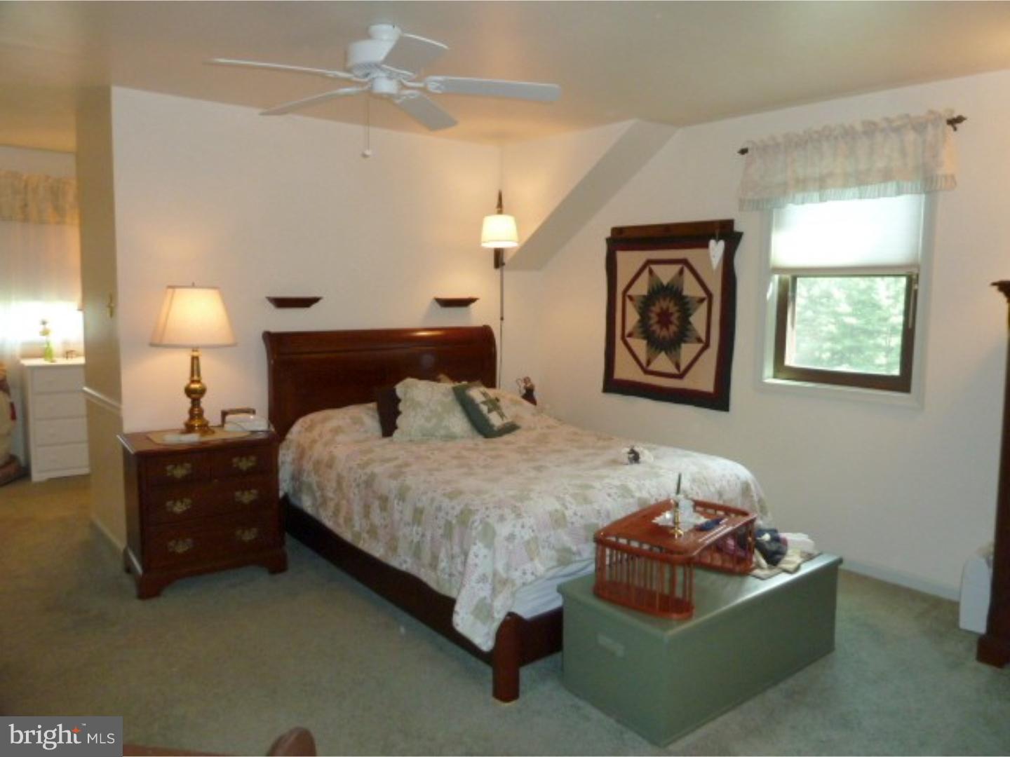 3125 Mill Road Doylestown, PA 18902 - Photo 14 of 24 Master Bedroom