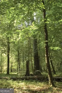 $40,000 | 0 Southwest Troupe Smith Road Southeast, Conyers, GA 30094