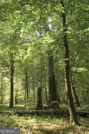 a view of outdoor space