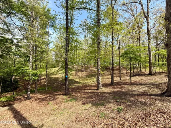 $459,900 | 3440 Fir Drive, Olive Branch, MS 38654
