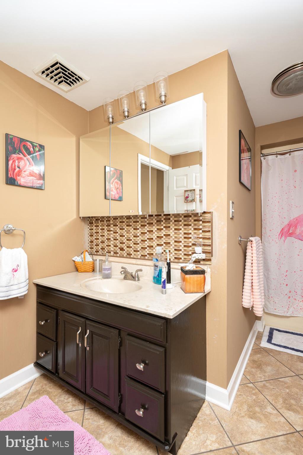 358 Ridge Avenue Spring City, PA 19475 - Photo 40 of 57 Large Hall Bathroom