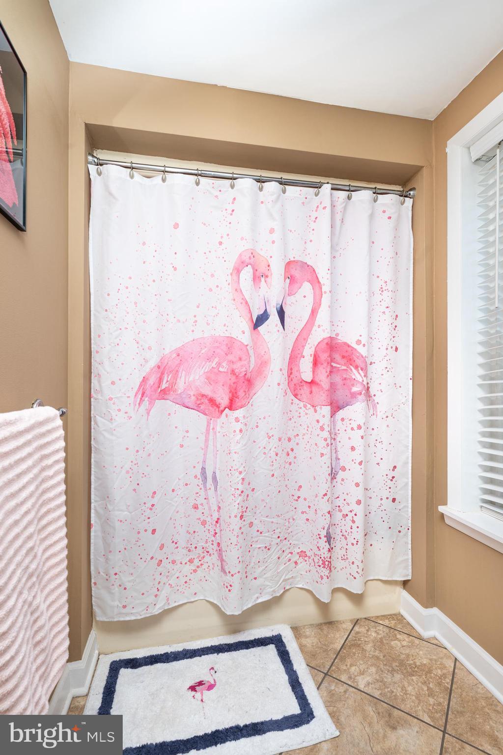 358 Ridge Avenue Spring City, PA 19475 - Photo 42 of 57 Tub Shower