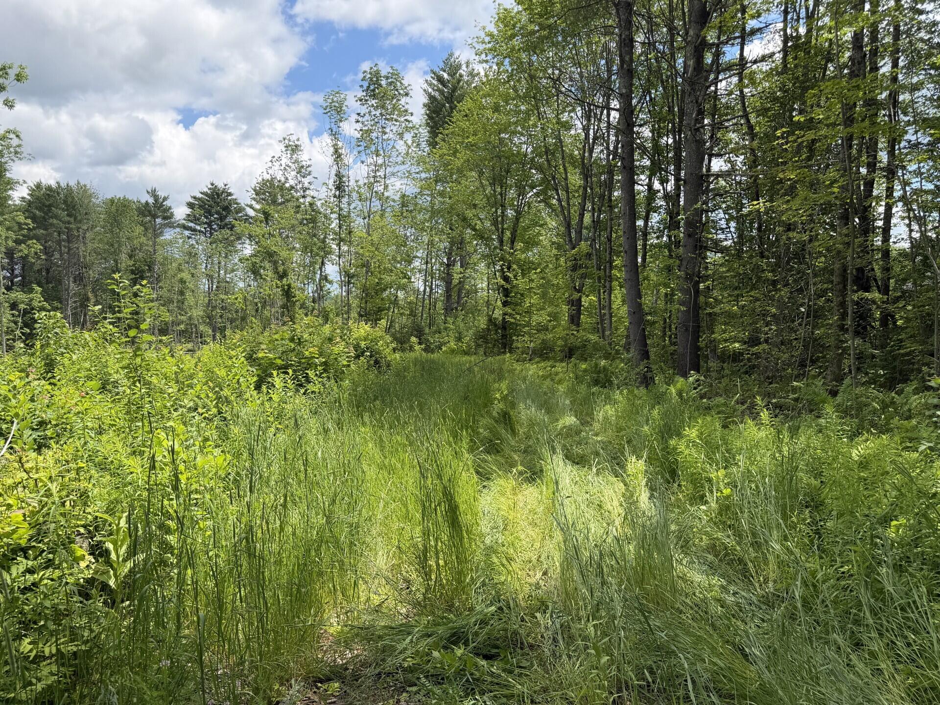 Lot 16-6 Norridgewock Road Fairfield, ME 04937 - Photo 4 of 5 Lot