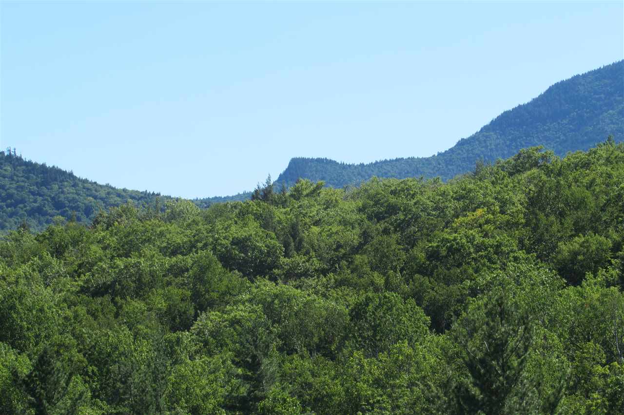 38 Table Rock Road Bartlett, NH 03812 - Photo 4 of 28
