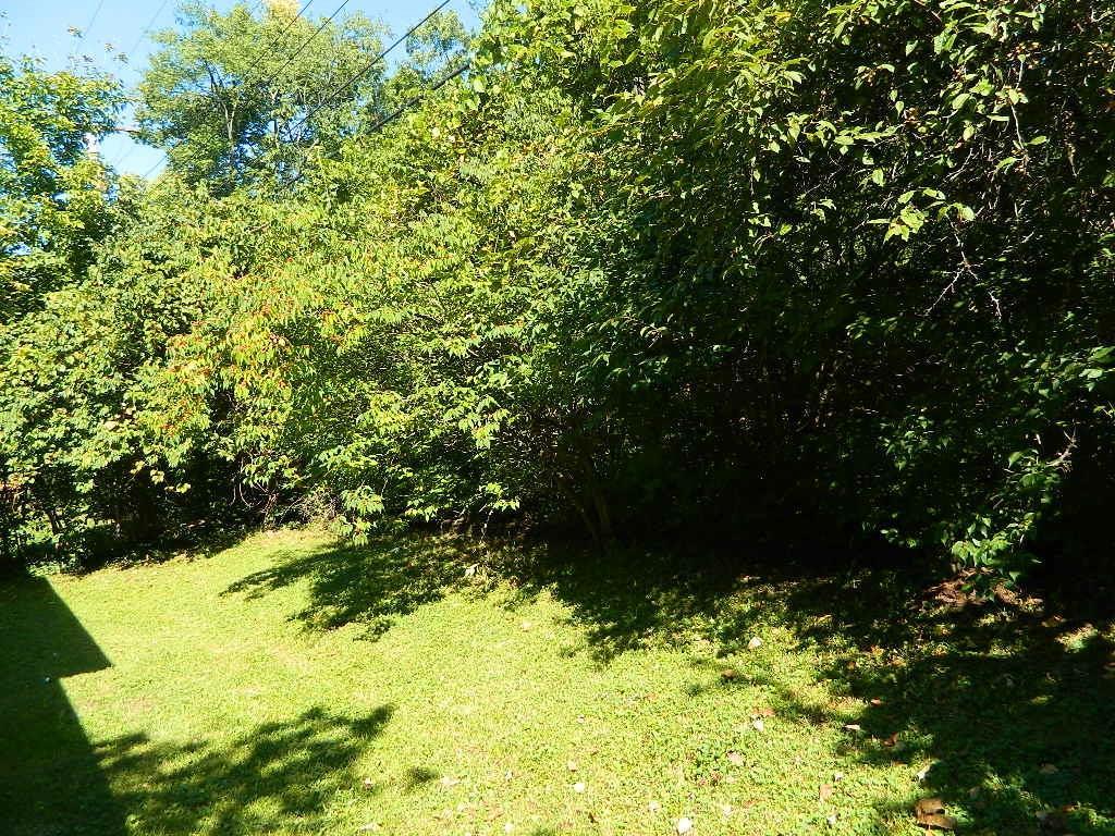 1126 Heard Avenue Springfield, OH 45506 - Photo 6 of 17