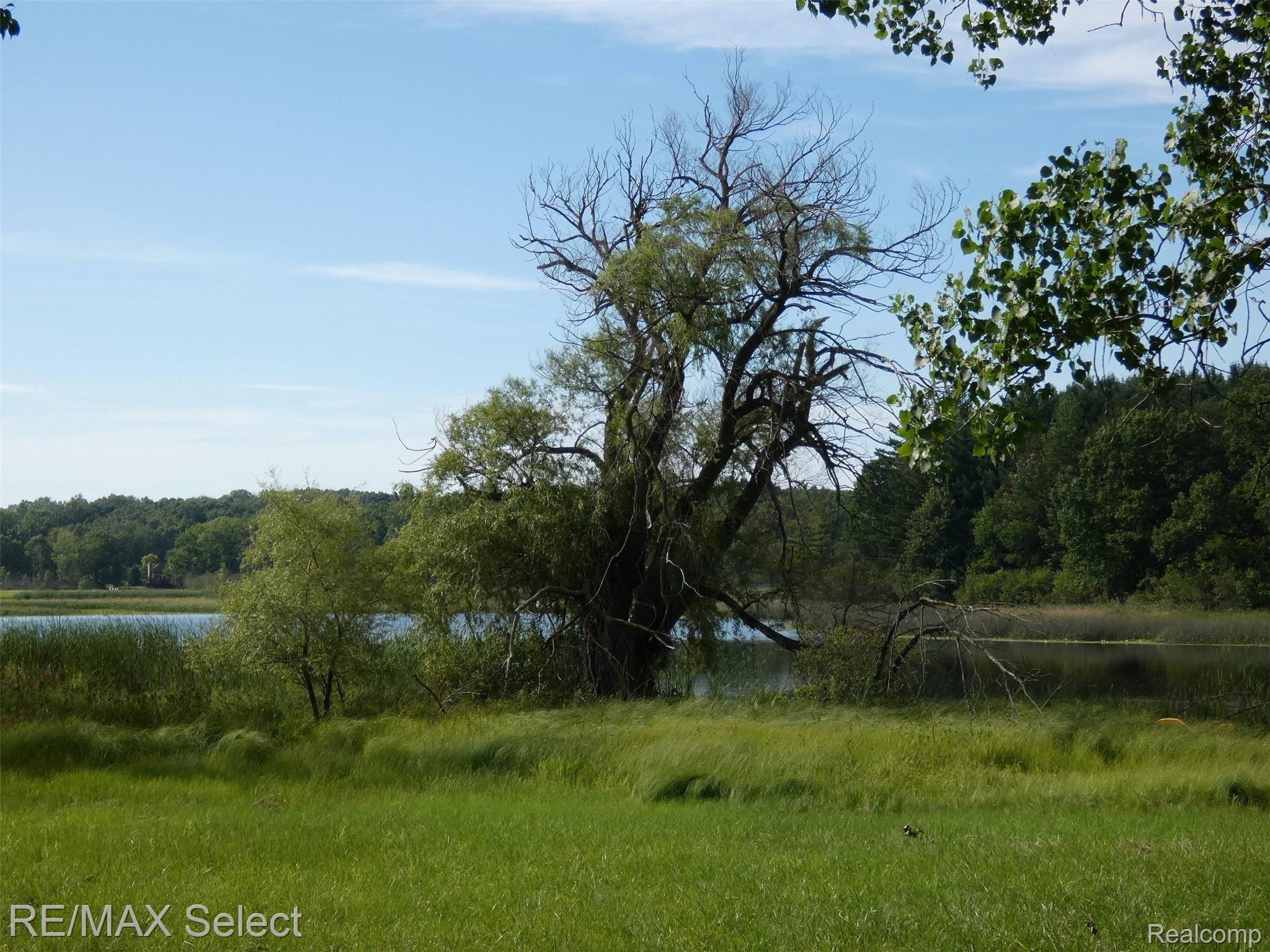11505 Hartland Road Fenton, MI 48430 - Photo 5 of 35 Mikat 011 - Copy.JPG
