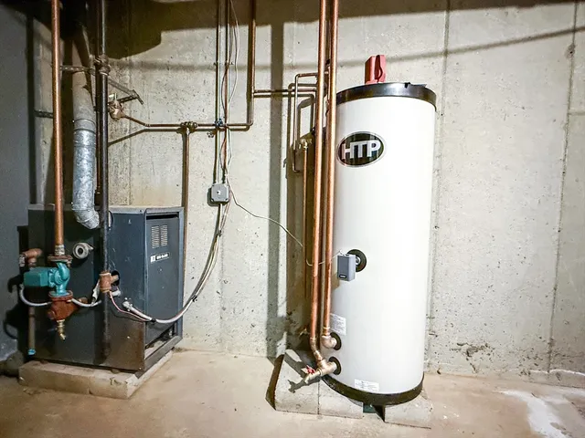 a view of a forest with trees