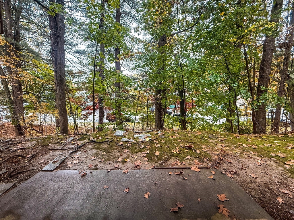 24 Wilson Street, Unit 4 Marlborough, MA 01752 - Photo 29 of 29 a view of a forest with trees