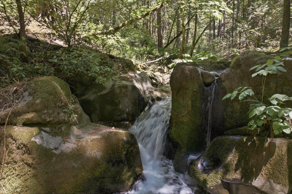 20929 Fall Crk Road Dunsmuir, CA 96025 - Photo 10 of 28 Gallery Image 10