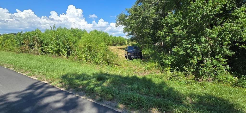 91 County Road 91 Slocomb, AL 36375 - Photo 10 of 18