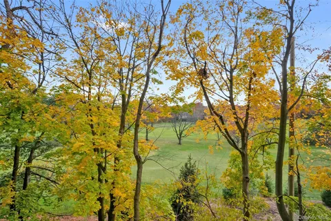 a backyard of a house with a tree