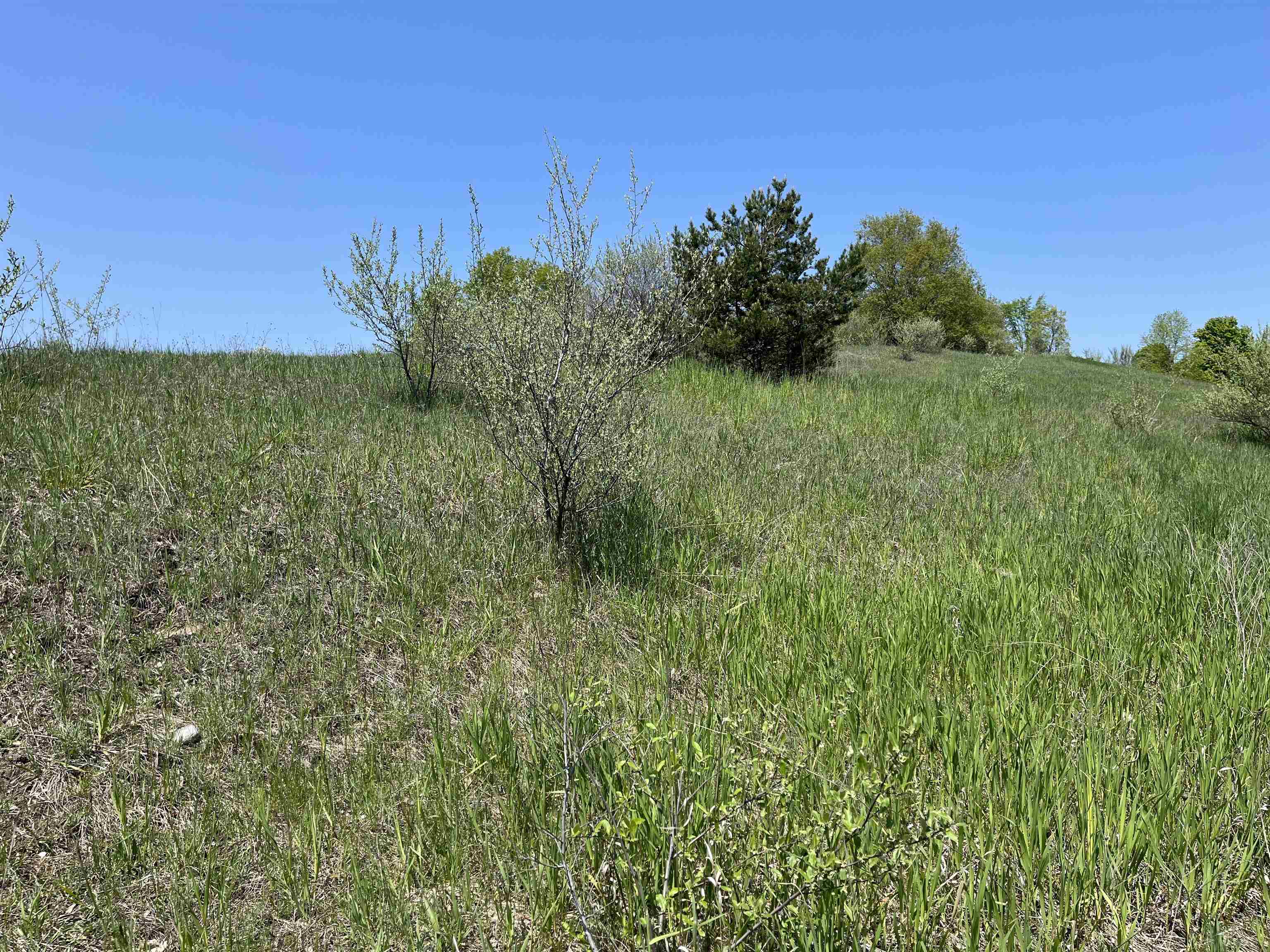 Lot 37 Florey's Ranch Road Grawn, MI 49637 - Photo 6 of 11 1925764-3311C356-53B4-4DA0-968D-B9C780530EA1.JPG