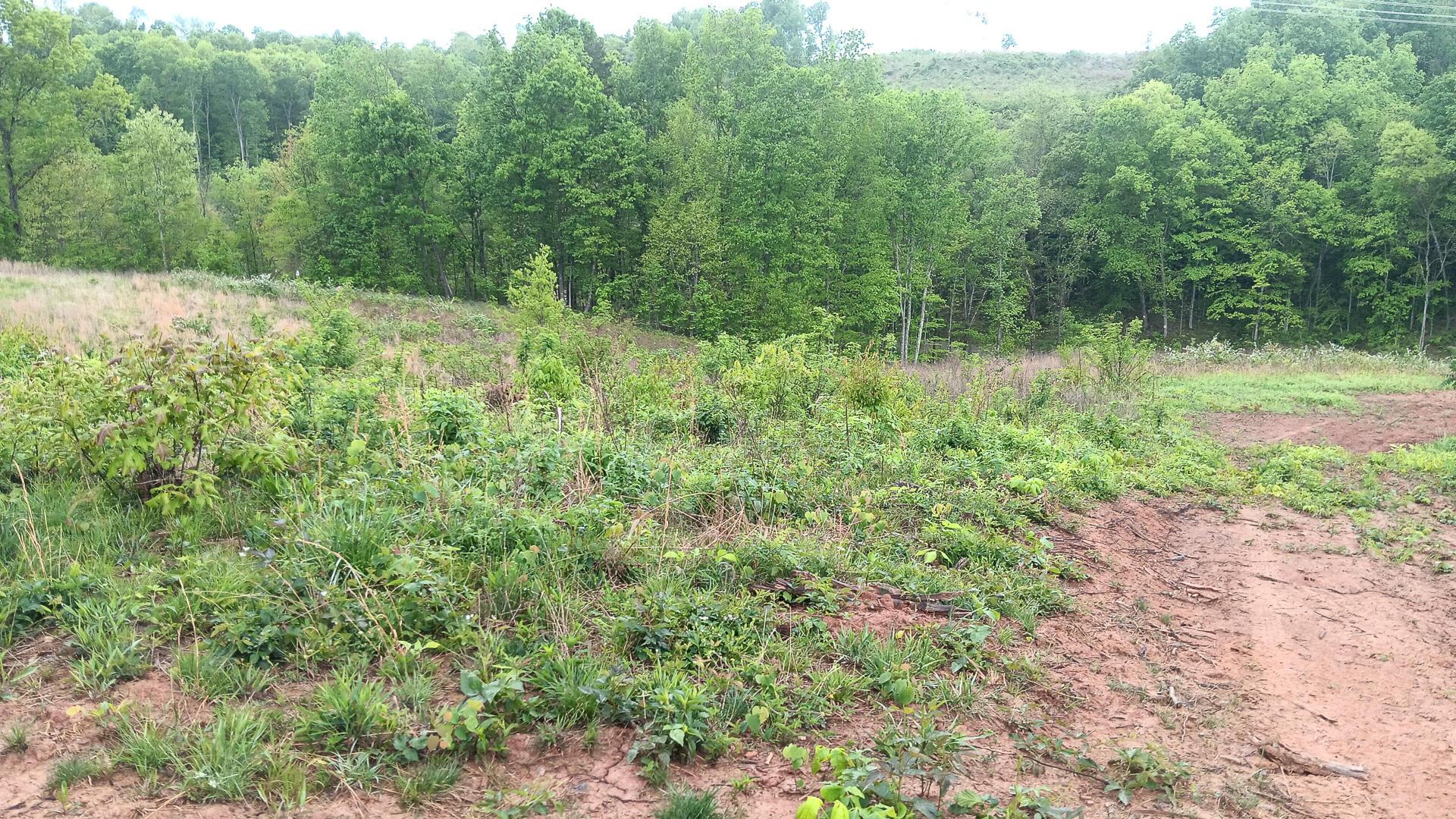 0 Hampton Hollow Road, Unit 7 ACRE TRACT) Langsville, OH 45741 - Photo 35 of 55