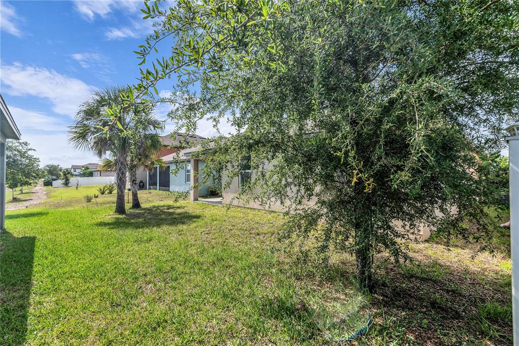 5816 Bar Ranch Road St. Cloud, FL 34771 - Photo 36 of 43 a view of yard with tree