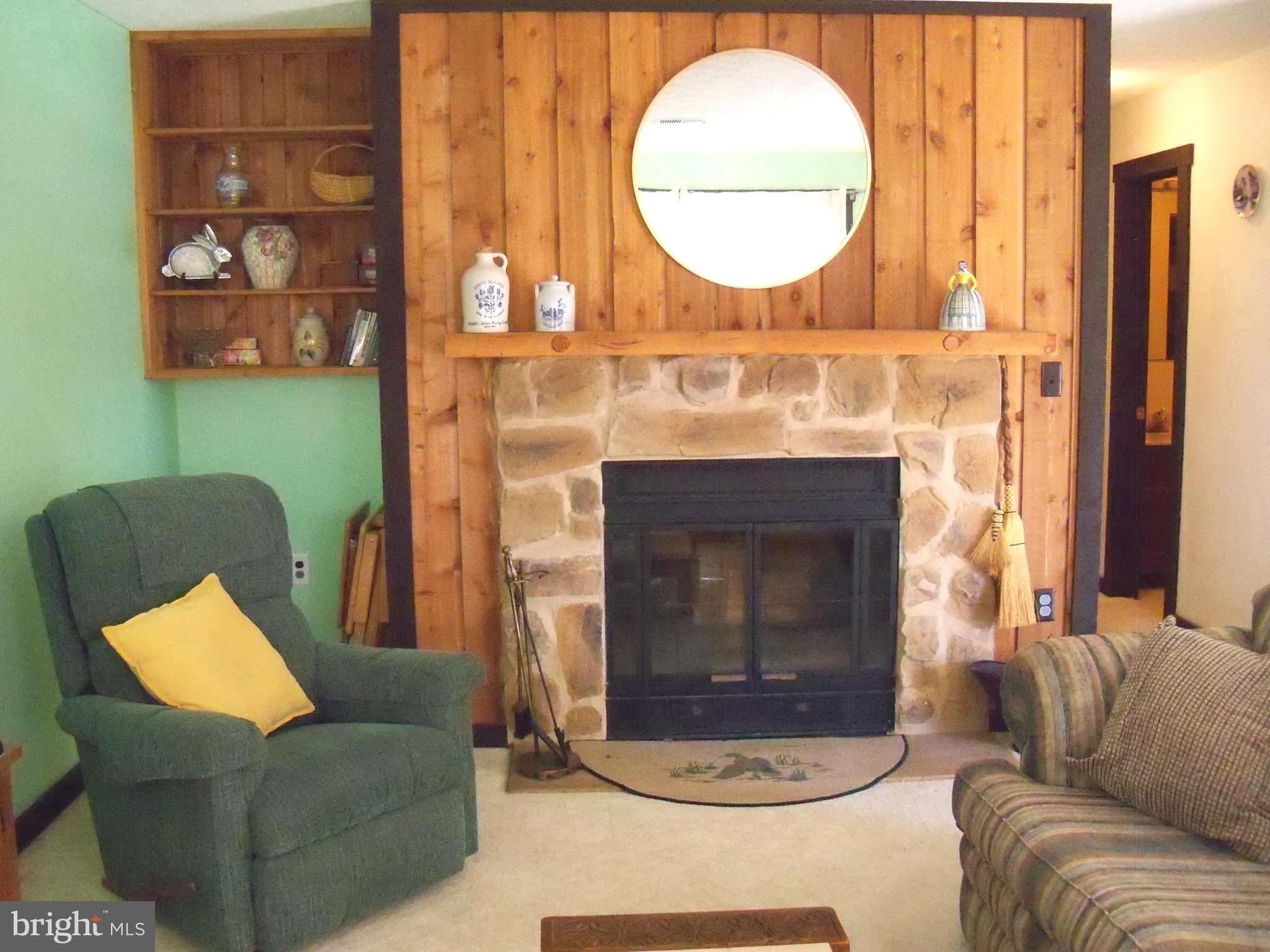 426 The Hill Road, Unit L30 Basye, VA 22810 - Photo 11 of 21 Fireplace