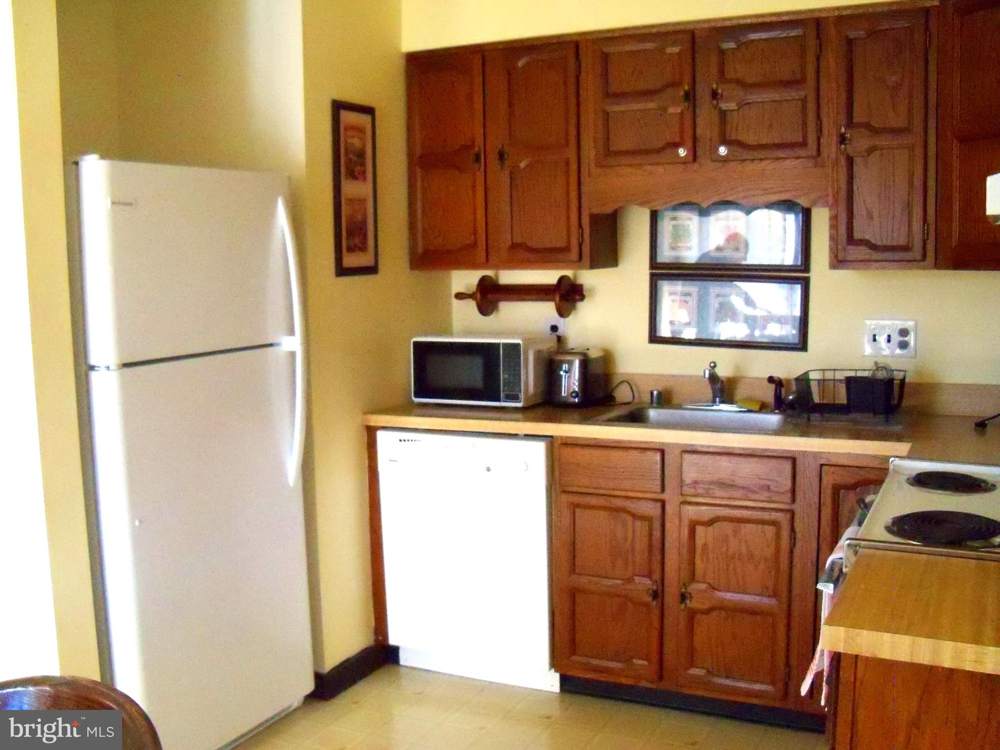 426 The Hill Road, Unit L30 Basye, VA 22810 - Photo 14 of 21 Kitchen