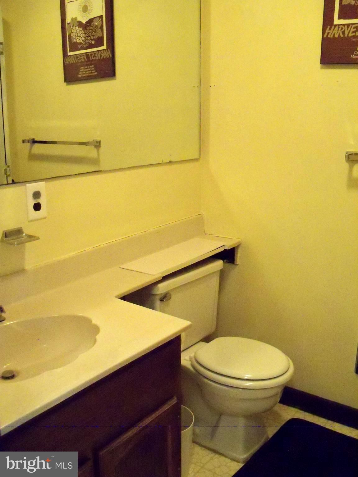 426 The Hill Road, Unit L30 Basye, VA 22810 - Photo 19 of 21 Bath