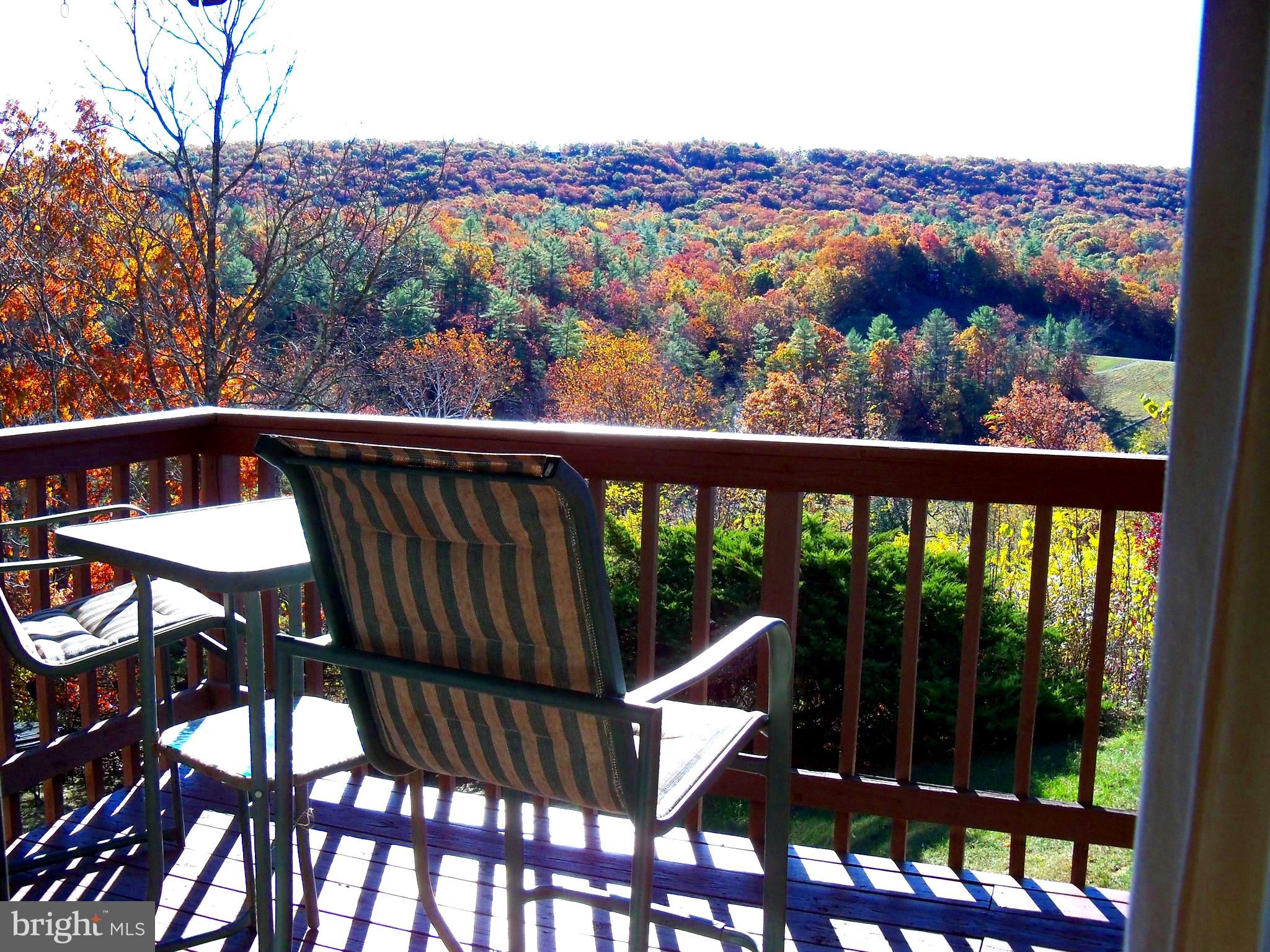 426 The Hill Road, Unit L30 Basye, VA 22810 - Photo 5 of 21 View