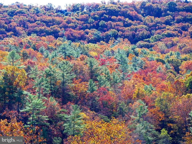 $189,000 | 426 The Hill Road, Unit L30, Basye, VA 22810