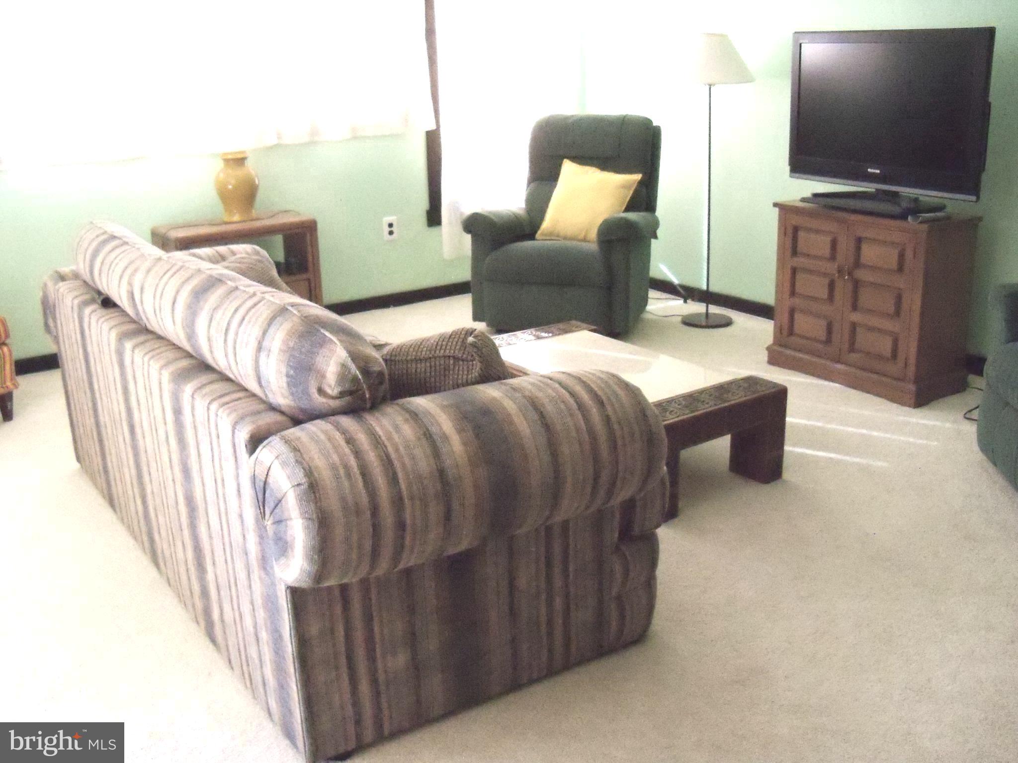 426 The Hill Road, Unit L30 Basye, VA 22810 - Photo 8 of 21 Living Room