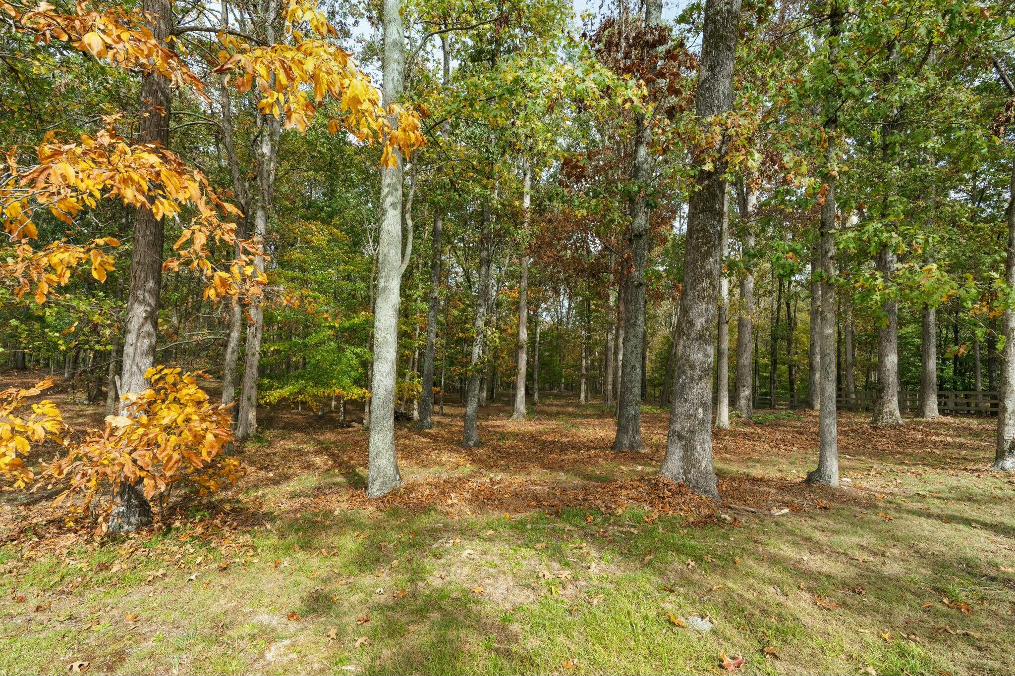 1185 Good Hope Road Northeast Dalton, GA 30721 - Photo 57 of 75 tempImageotto7C