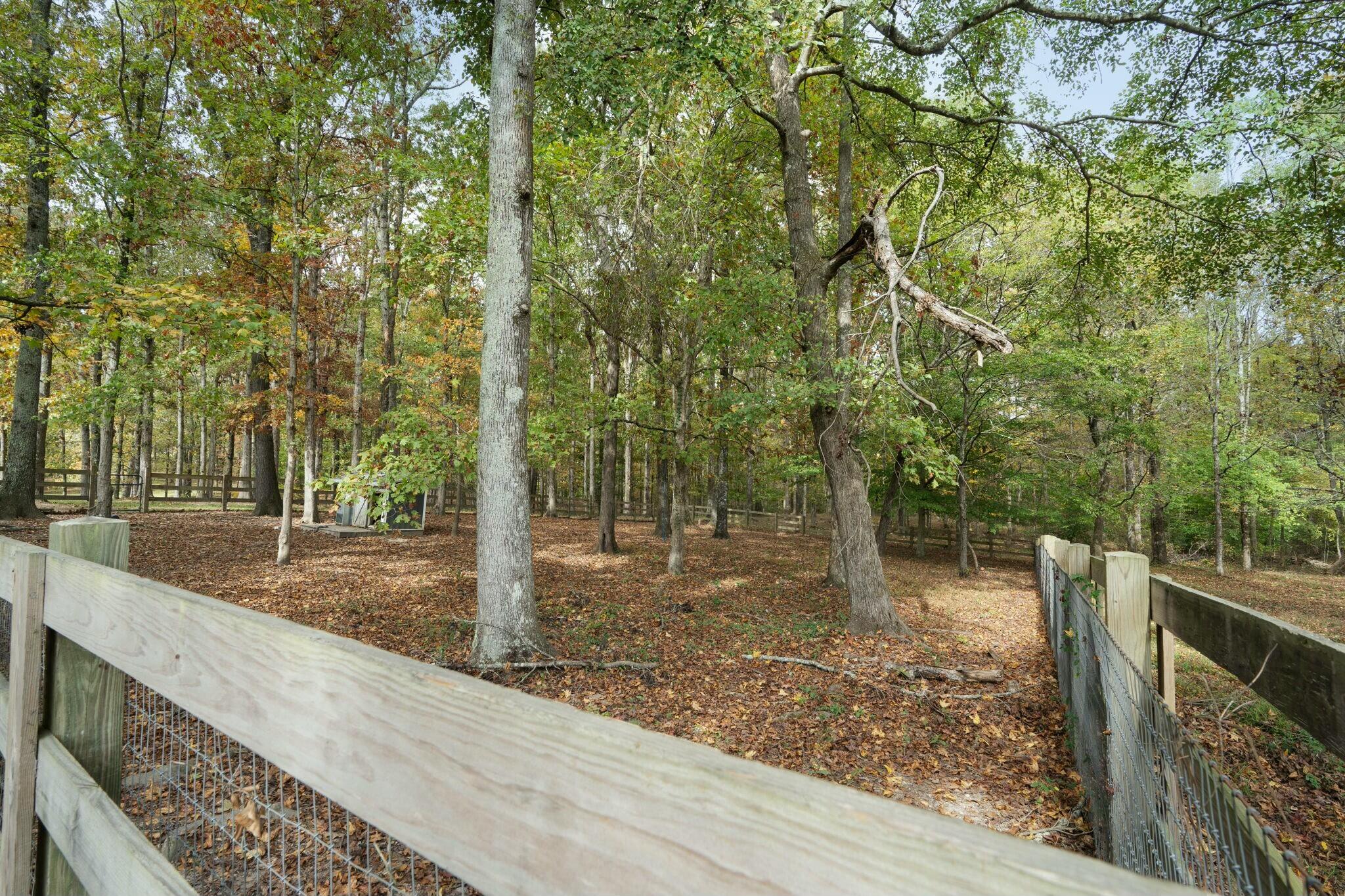 1185 Good Hope Road Northeast Dalton, GA 30721 - Photo 62 of 75 tempImageq8bTLt