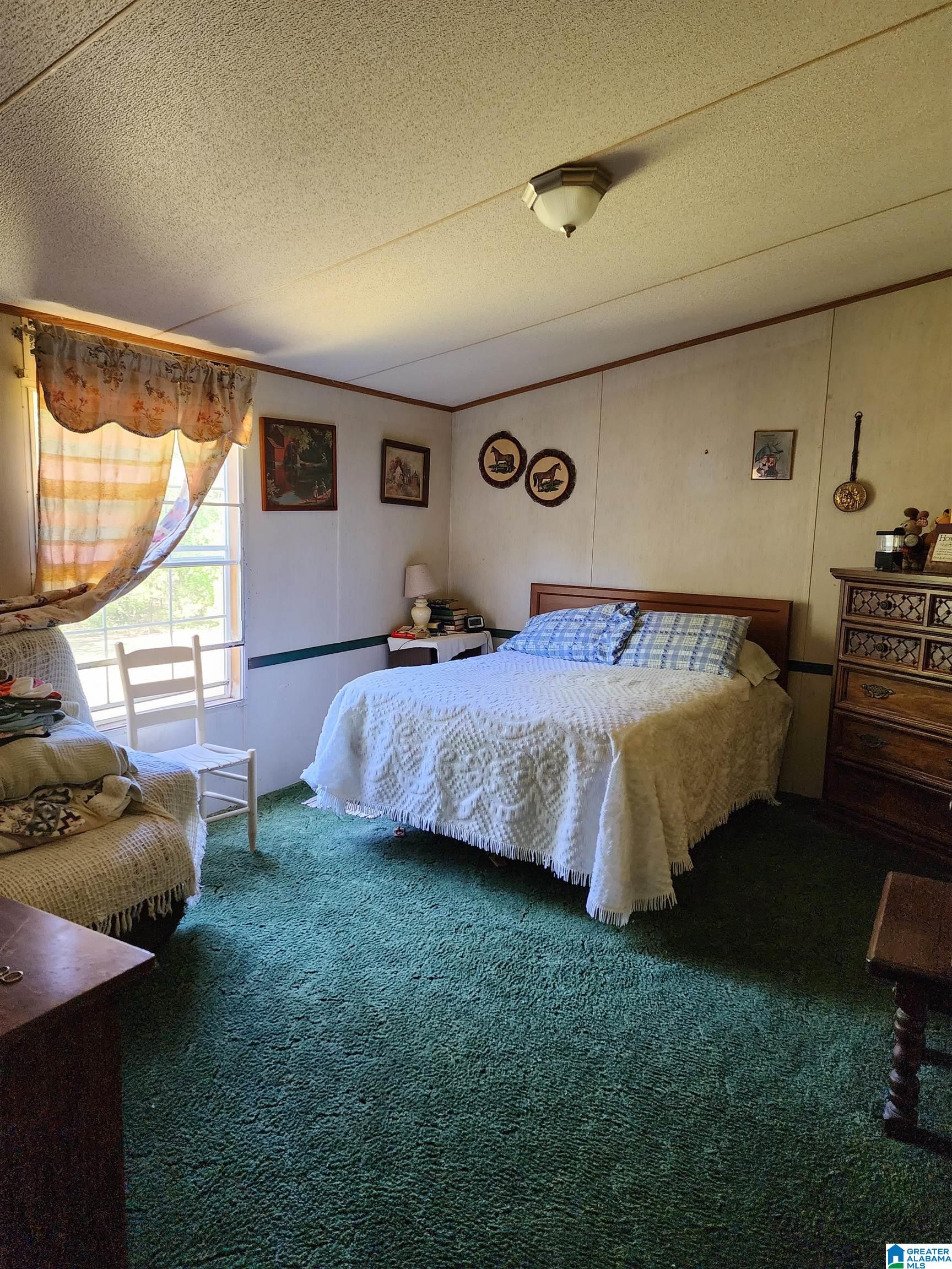 2696 Woolfolk Road Munford, AL 36268 - Photo 21 of 28