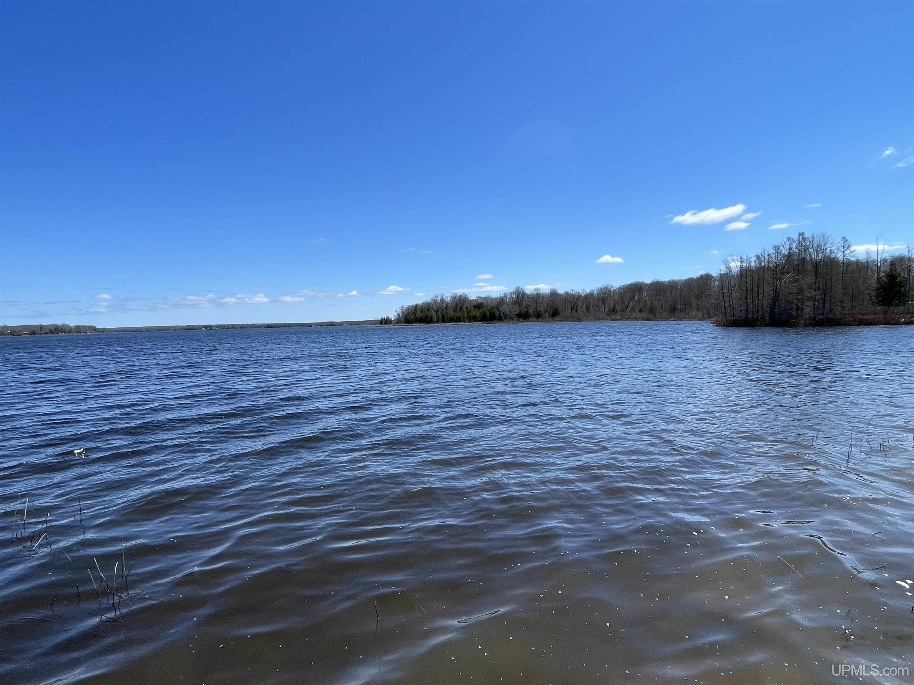 Lot 136-plus Lot 136-plus Long Point Road Germfask, MI 49836 - Photo 17 of 25 Gallery Image 17