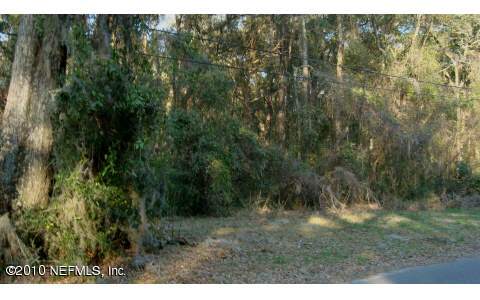 7.3-acres Mitchell Road Yulee, FL 32097 - Photo 1 of 3 a view of a yard with a tree