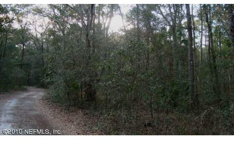 7.3-acres Mitchell Road Yulee, FL 32097 - Photo 3 of 3 a view of a yard in a forest