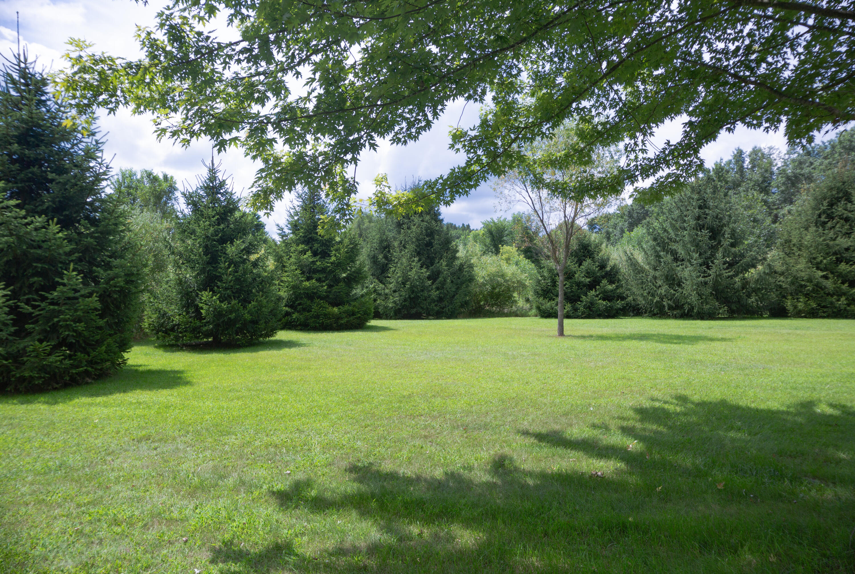 6815 Napoleon Road Jackson, MI 49201 - Photo 12 of 59 JacksonHouse-32