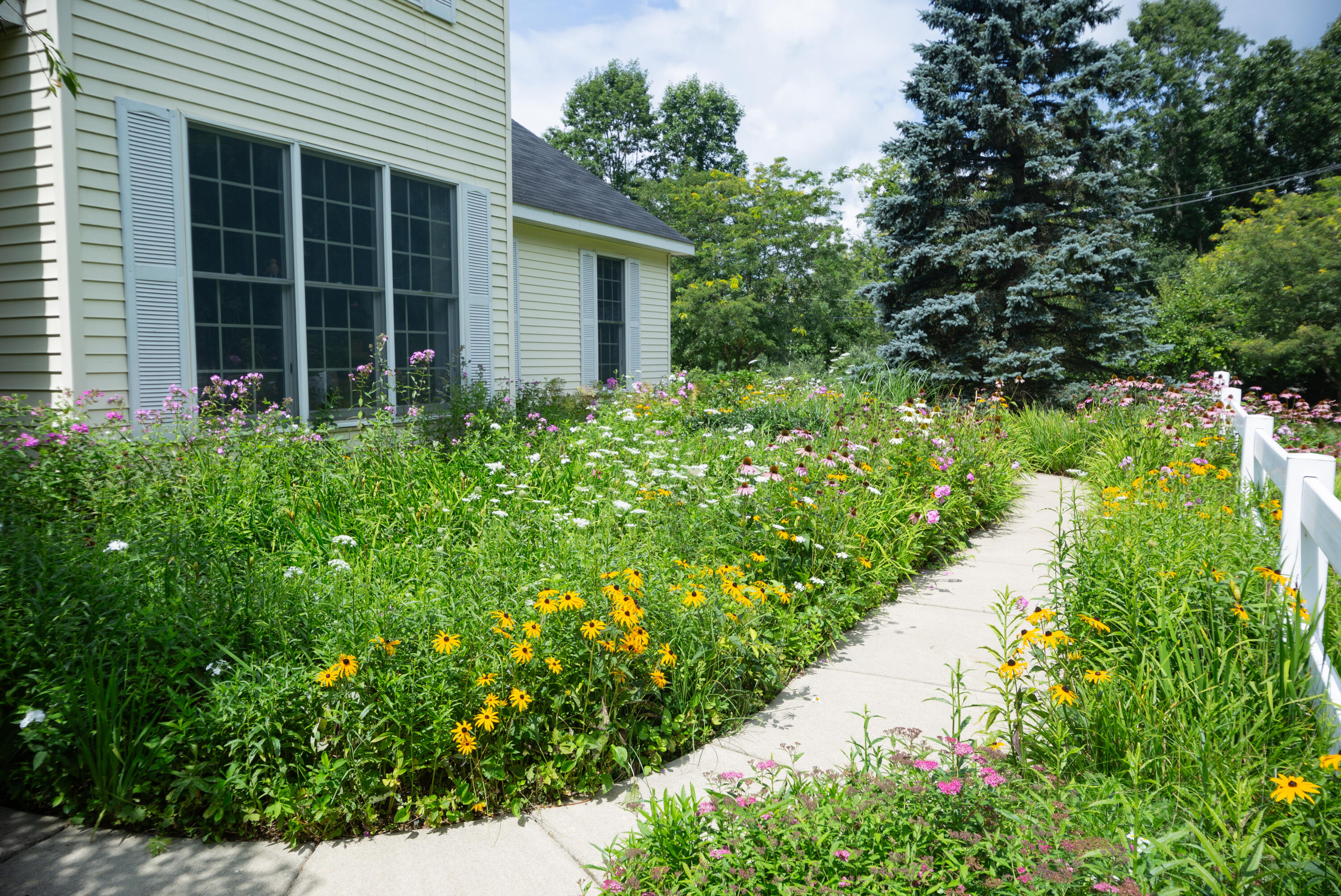 6815 Napoleon Road Jackson, MI 49201 - Photo 4 of 59 JacksonHouse-27
