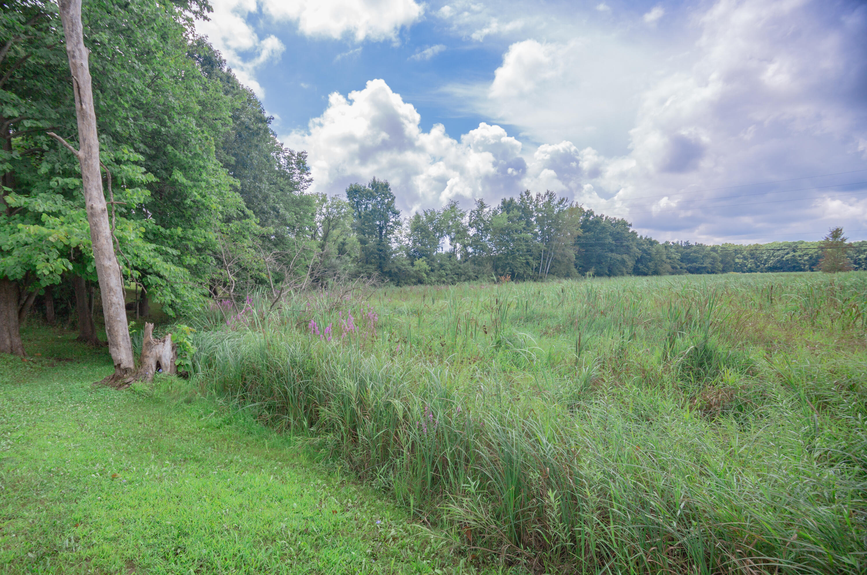 6815 Napoleon Road Jackson, MI 49201 - Photo 50 of 59 JacksonHouse-40
