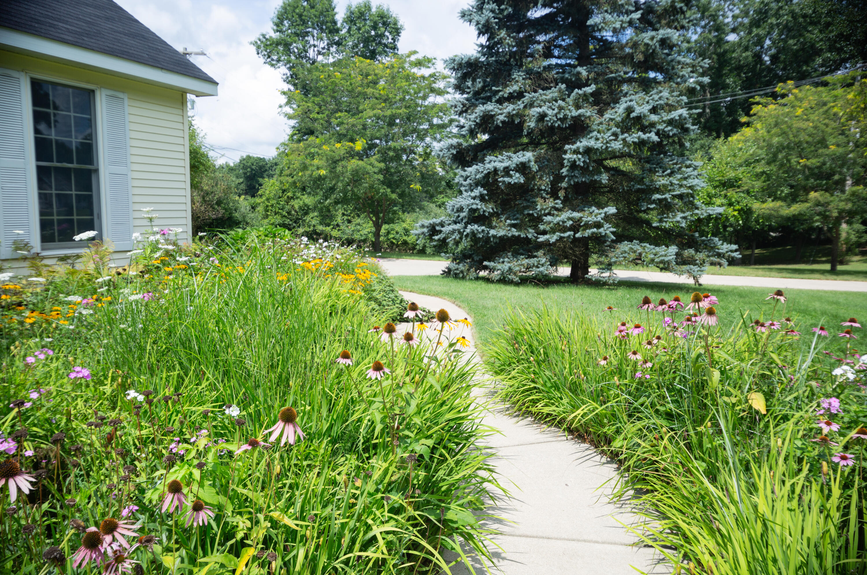 6815 Napoleon Road Jackson, MI 49201 - Photo 5 of 59 JacksonHouse-28