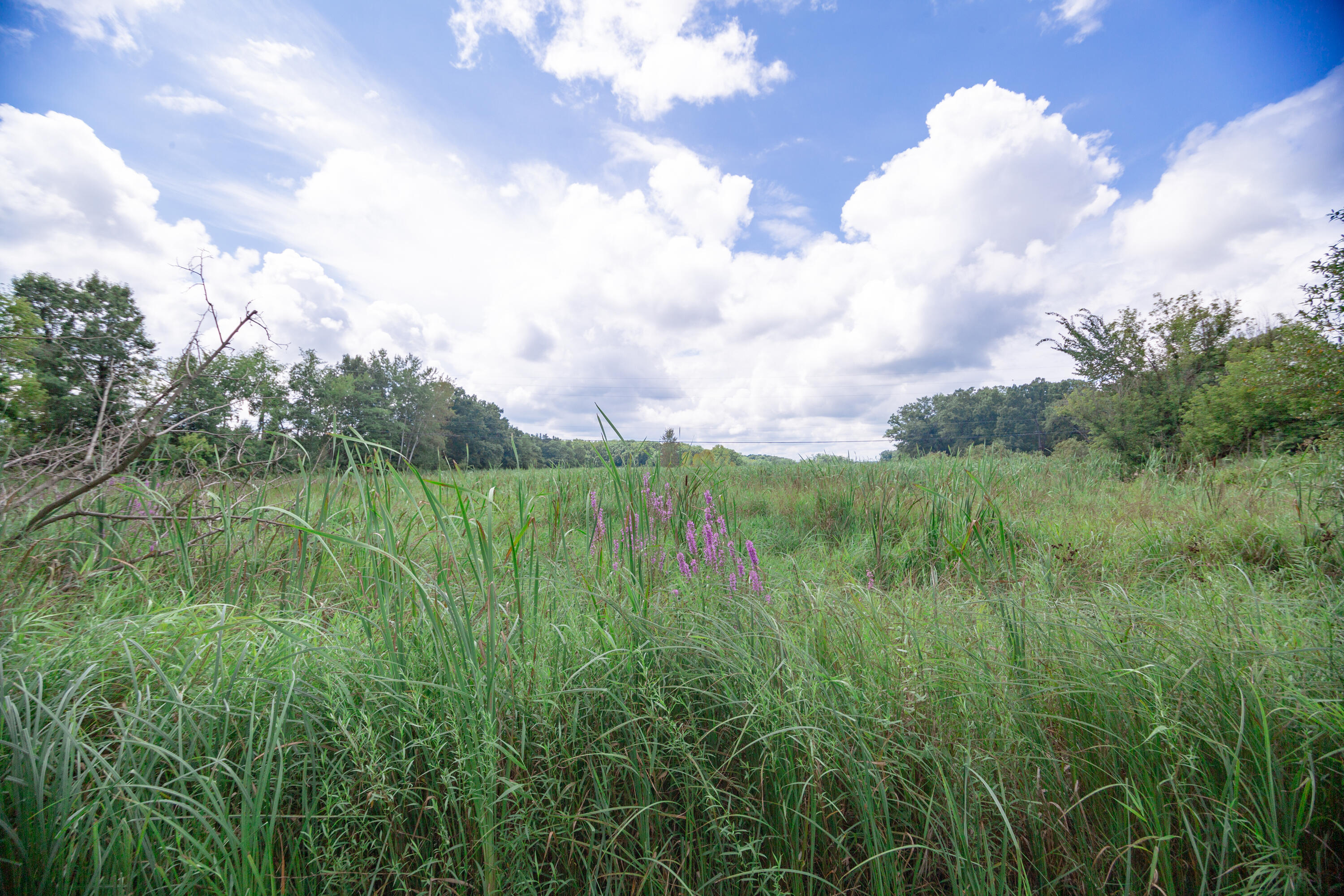 6815 Napoleon Road Jackson, MI 49201 - Photo 56 of 59 JacksonHouse-39