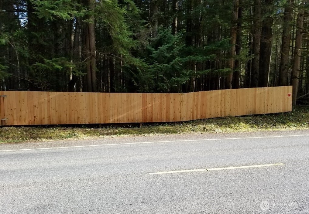 56207 Kernahan Road East Ashford, WA 98304 - Photo 3 of 9 a view of a yard