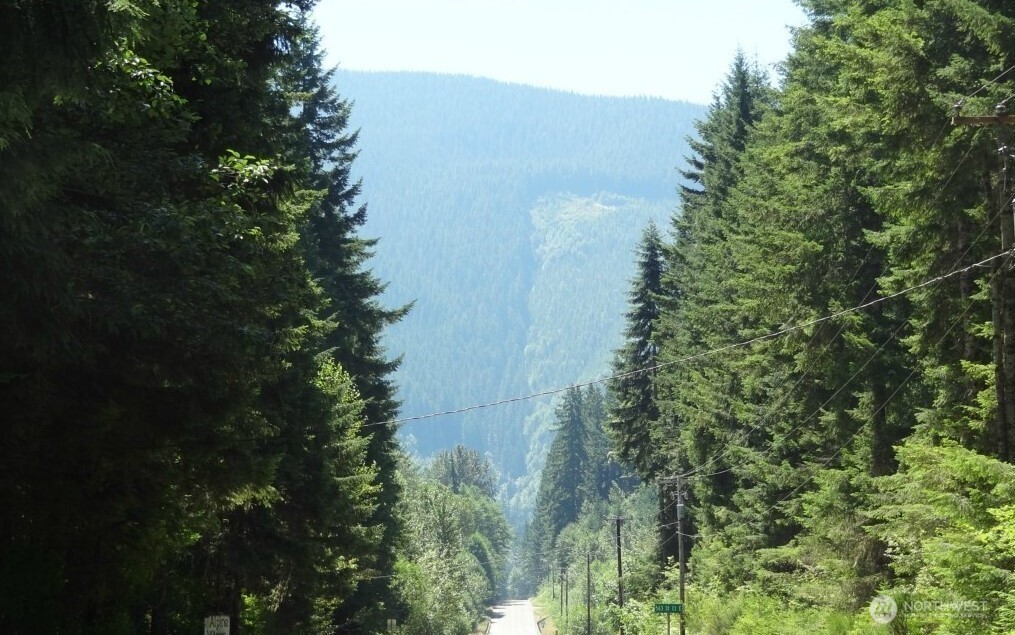 56207 Kernahan Road East Ashford, WA 98304 - Photo 6 of 9 a view of a house with a tree