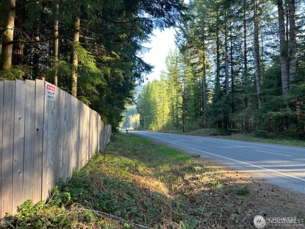 56207 Kernahan Road East Ashford, WA 98304 - Photo 8 of 9 a view of backyard with green space