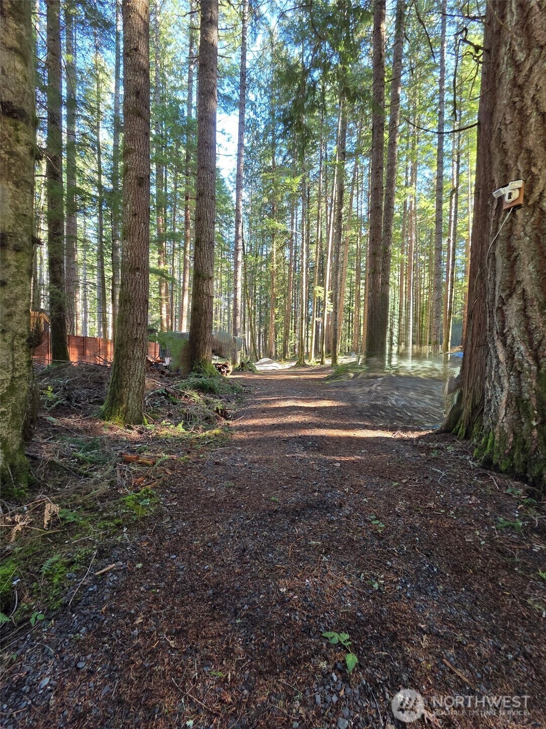 56207 Kernahan Road East Ashford, WA 98304 - Photo 9 of 9 a view of outdoor space and yard