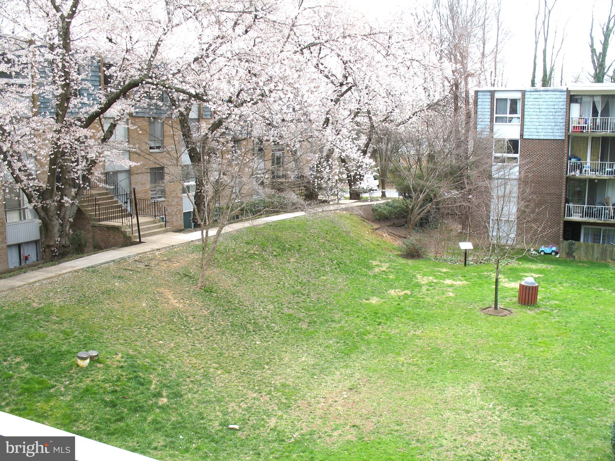 3970 Bel Pre Road, Unit 39705 Silver Spring, MD 20906 - Photo 24 of 30 View from balcony